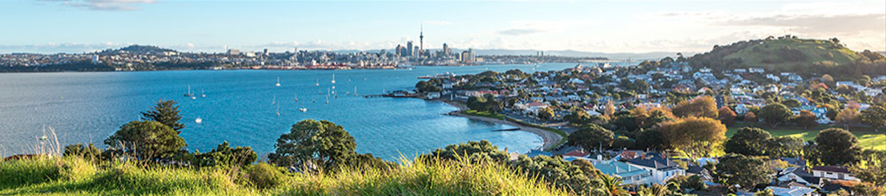 auckland office mover