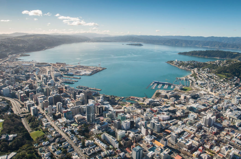 Wellington Office movers